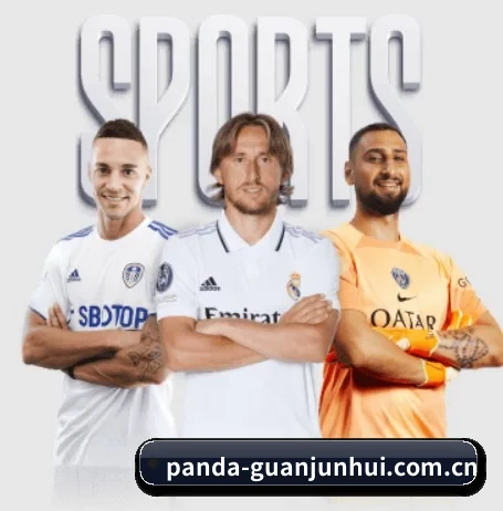 Panda sPorts的方向