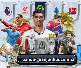 Panda sPorts APP